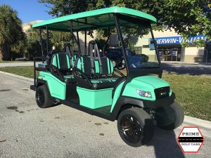 golf cart maintenance, bradenton golf cart service, battery service