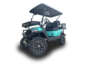 golf cart repair service, bradenton cart repair pickup, golf cart inspection