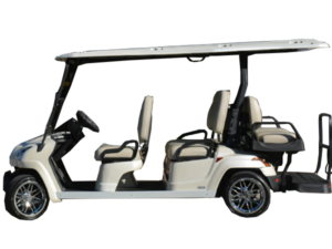 golf cart tours palm beach, palm beach tour, street legal